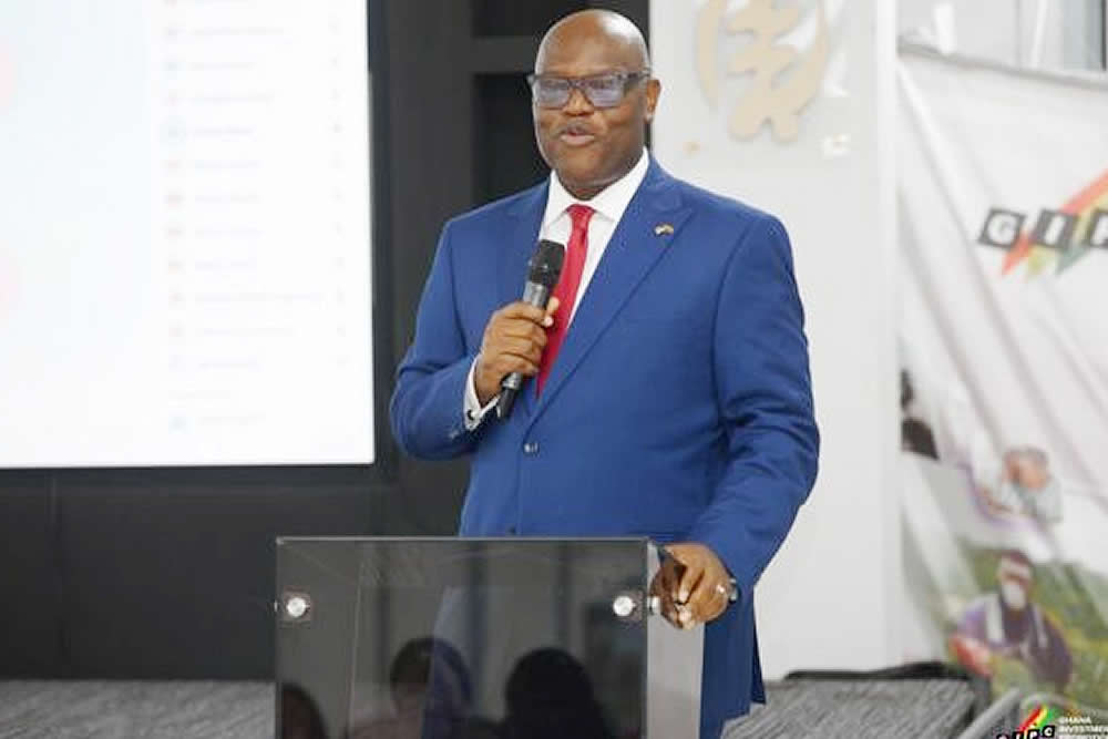 New GIPC CEO to establish AfCFTA desk, strengthen investment drive